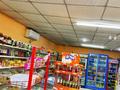 Магазины и бутики · 55 м² за 15 млн ₸ в Шымкенте, Енбекшинский р-н — фото 5