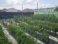 Отдельный дом · 6 комнат · 180 м² · 10 сот., мкр Старый Аэропорт, Коняхина 10 за 220 млн ₸ в Уральске — фото 16