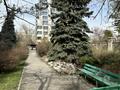 3-бөлмелі пәтер · 181.4 м² · 1/9 қабат, мкр Самал-3 21, бағасы: 175 млн ₸ в Алматы, Медеуский р-н — фото 8