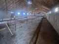 Сельское хозяйство · 27000 м² за 125 млн 〒 в Шымкенте, Енбекшинский р-н — фото 10