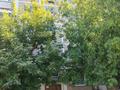 2-комнатная квартира · 55 м² · 5/5 этаж, Сейфулина 94 — Возле актилек автовокзал за 8 млн ₸ в Кентау — фото 10