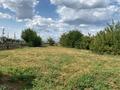 Отдельный дом · 3 комнаты · 64 м² · 12 сот., Женис 14 за 7.6 млн ₸ в Мамай Батыра  — фото 13