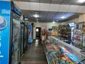 Магазины и бутики • 290 м² за 70 млн 〒 в Караганде, Алихана Бокейханова р-н — фото 5