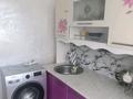 1-бөлмелі пәтер · 38 м² · 2/3 қабат, Абая 3 — Стадиона, бағасы: 15 000 ₸ в Приозёрске — фото 5