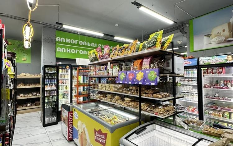 Продуктовый магазин, 100 м², бағасы: 33 млн 〒 в Алматы, Ауэзовский р-н — фото 2