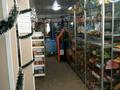 Магазины и бутики • 91 м² за 25 млн 〒 в Текели — фото 2
