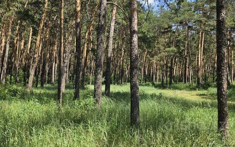 Жер телімі · 30 сотық, Светлый, бағасы: 125 млн ₸ в Бурабае — фото 2