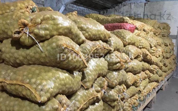 Промбаза · 1000 соток, Рудненская 34а за 10 000 〒 в Костанае — фото 2