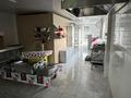 Дүкендер мен бутиктер, қоғамдық тамақтану орны · 300 м², бағасы: 140 млн 〒 в Арайлы — фото 24