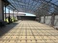 Жеке үй · 4 бөлме · 150 м² · 6 жүзд., 5 линия, бағасы: 40 млн ₸ в Каскелене — фото 5