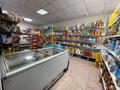 Магазины и бутики • 147 м² за 68.4 млн 〒 в Астане, Алматы р-н — фото 15