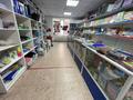 Магазины и бутики • 147 м² за 68.4 млн 〒 в Астане, Алматы р-н — фото 25