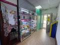 Магазины и бутики • 147 м² за 68.4 млн 〒 в Астане, Алматы р-н — фото 30