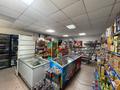 Магазины и бутики • 147 м² за 68.4 млн 〒 в Астане, Алматы р-н — фото 31