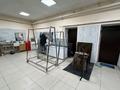Бизнес мясной цех с магазином · 150 м², бағасы: 75 млн ₸ в Астане, Сарайшык р-н — фото 14