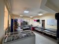 Бизнес мясной цех с магазином · 150 м², бағасы: 75 млн ₸ в Астане, Сарайшык р-н — фото 7