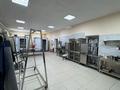 Бизнес мясной цех с магазином · 150 м², бағасы: 75 млн ₸ в Астане, Сарайшык р-н — фото 9