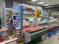 Магазины и бутики, общепит · 988 м² за 550 млн ₸ в Астане, р-н Байконур