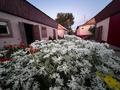Жеке үй · 4 бөлме · 110 м², Переулок Н.Базылова 16 — С. Шакирова, бағасы: 19.5 млн ₸ в Шу — фото 14