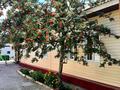 Жеке үй · 4 бөлме · 100 м² · 6 жүзд., Киевская 59, бағасы: 30 млн ₸ в Семее — фото 11