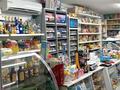 Магазины и бутики, общепит · 296 м² за 119 млн ₸ в Кокшетау — фото 5