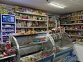 Магазины и бутики, общепит · 296 м² за 119 млн ₸ в Кокшетау — фото 7