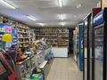 Магазины и бутики, общепит · 296 м² за 119 млн ₸ в Кокшетау — фото 8