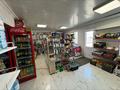 Отдельный дом · 5 комнат · 120 м² · 10 сот., Суйенбай 218 за 48 млн ₸ в Исаеве — фото 10