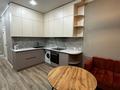 1-комнатная квартира · 45 м², Туркестан 2 — Возле Абу Даби Плаза,РФМШ,Конституционный Суд РК за 250 000 ₸ в Астане, Есильский р-н — фото 2