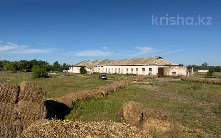 Промбаза · 2.5 га, Михайловка 1 за 190 млн ₸ — фото 2