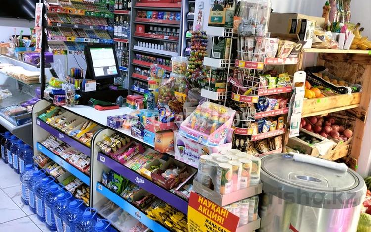 Продуктовый магазин · 115 м² за 33 млн ₸ в Астане, Сарайшык р-н — фото 2
