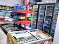 Продуктовый магазин · 115 м² за 33 млн ₸ в Астане, Сарайшык р-н — фото 12