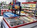 Продуктовый магазин · 115 м² за 33 млн ₸ в Астане, Сарайшык р-н — фото 13