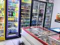 Продуктовый магазин · 115 м² за 33 млн ₸ в Астане, Сарайшык р-н — фото 14
