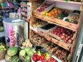 Продуктовый магазин · 115 м² за 33 млн ₸ в Астане, Сарайшык р-н — фото 3