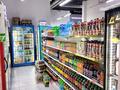 Продуктовый магазин · 115 м² за 33 млн ₸ в Астане, Сарайшык р-н — фото 4