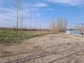 Сельское хозяйство · 37887.9 м² за ~ 5.4 млрд ₸ в Алматинской обл., Карасай — фото 68