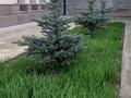 Отдельный дом · 6 комнат · 230 м² · 8 сот., мкр Бозарык , Мкр алтын орда 204 — Вдоль проспекта Байдибек би, 3 минутах от Шымкент Сити, Сити Молл, Отау Март за 140 млн ₸ в Абайский р-н — фото 6