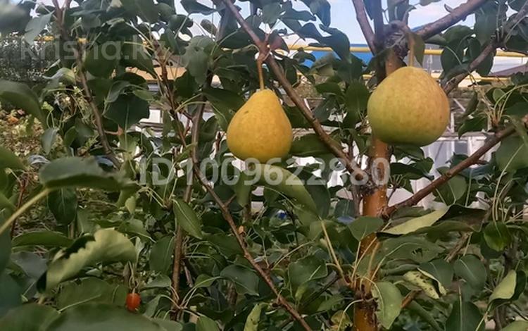 Жеке үй · 4 бөлме · 97 м² · 10 сот., Сарыарка 15 — Ауезова, бағасы: 25.5 млн 〒 в Талапкер  — фото 2