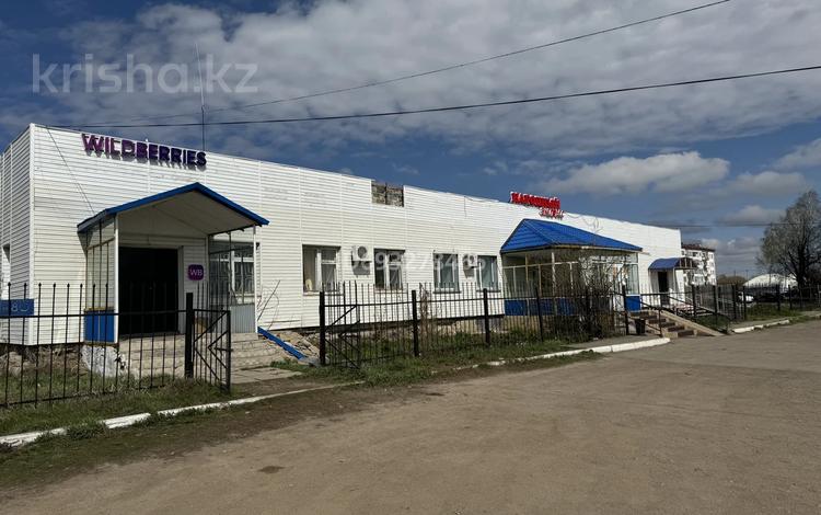 Офисы, магазины и бутики, склады · 2000 м² за 40 млн ₸ в Саумалколе — фото 2