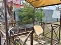 Отдельный дом · 5 комнат · 208 м² · 13 сот., Кокорина 39 за 90 млн ₸ в Усть-Каменогорске — фото 21