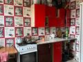 Отдельный дом · 3 комнаты · 51 м² · 6 сот., Бабушкина 8А за 11 млн ₸ в Рудном — фото 13