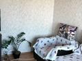 1-бөлмелі пәтер · 40 м² · 10/11 қабат, проспект Казыбек би 34, бағасы: 20 млн ₸ в Усть-Каменогорске