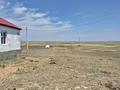 Сельское хозяйство · 2869 м² за 66 млн ₸ в Баянауле — фото 20