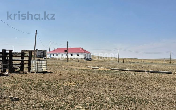 Сельское хозяйство · 2869 м² за 66 млн ₸ в Баянауле — фото 7