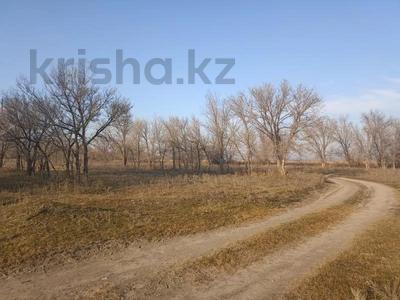 Участок · 120 га, Нуринский с.о. за ~ 110 млн 〒 в Алматинской обл., Талгарский р-н