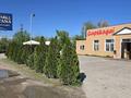 Общепит · 300 м² за 190 млн ₸ в Конаеве — фото 2