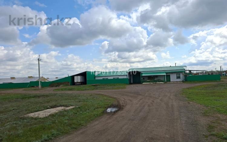 Тепличный комплекс · 2000 м² за 95 млн ₸ в Уральске, мкр. Зачаганск пгт — фото 2
