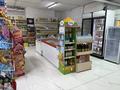 Еркін · 90 м², бағасы: 600 000 ₸ в Астане, Нура р-н — фото 7