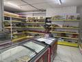 Еркін · 90 м², бағасы: 600 000 ₸ в Астане, Нура р-н — фото 8